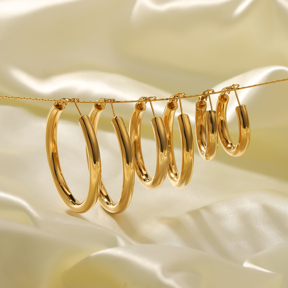 18k Gold-Plated Stainless Steel Earrings1