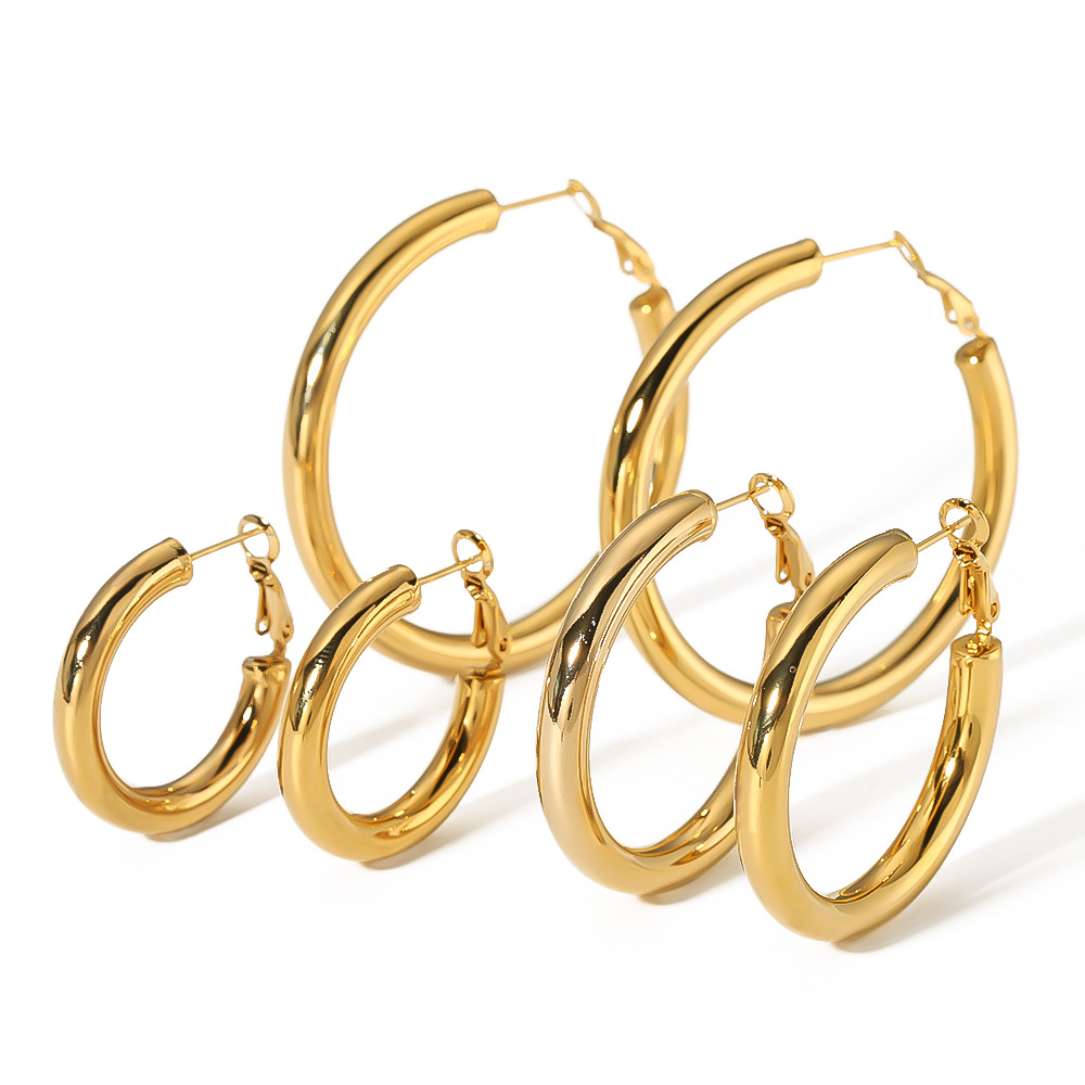 18k Gold-Plated Stainless Steel Earrings1