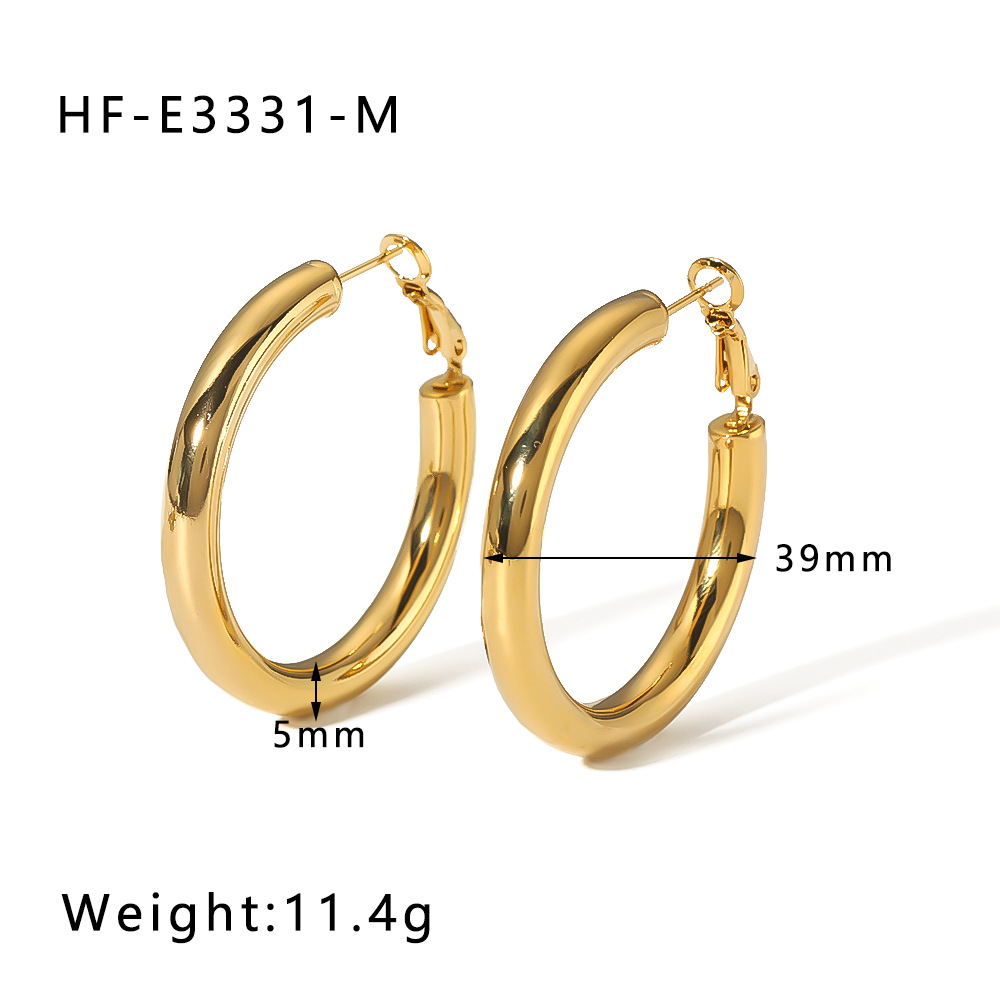 18k Gold-Plated Stainless Steel Earrings1