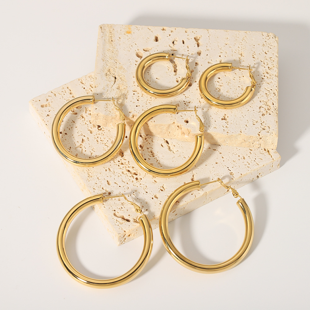 18k Gold-Plated Stainless Steel Earrings1